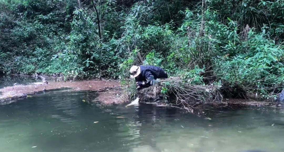 
          
            云南哀牢山突然“爆火”，大批游客涌入！未开发区域不要深入！当地村民：不该去的地方不要去
        