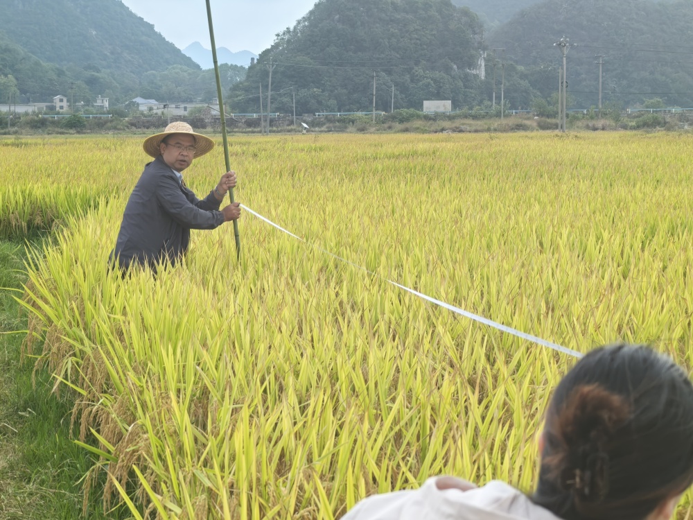 贵州：农技人员下沉田间地头助农增收