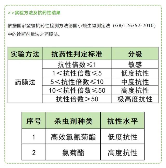 网传广东蟑螂已进化，对杀虫剂免疫？官方辟谣不科学