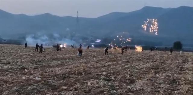 陕西岐山有人燃放加特林烟花驱赶捡拾玉米人群，当地多部门回应