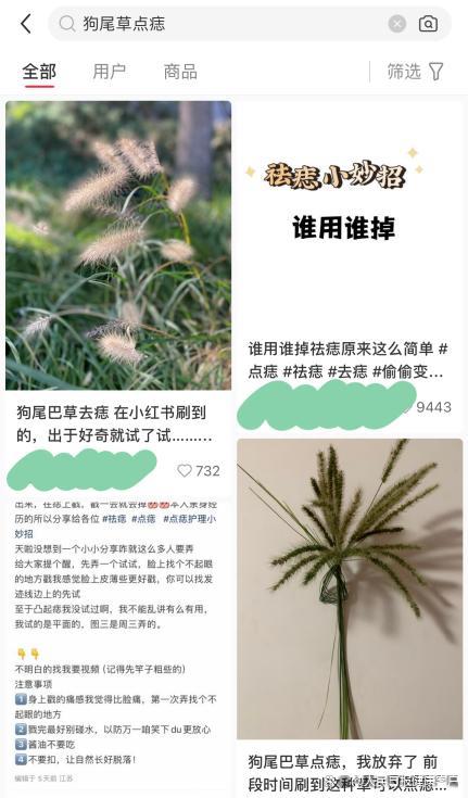 网络流行狗尾巴草祛痣引模仿，可能误伤皮肤组织或掩盖病变 缺乏科学依据