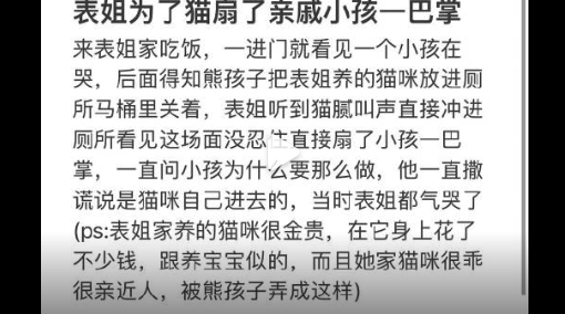 表姐为了猫扇了亲戚小孩一巴掌