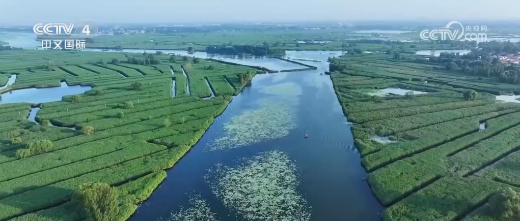 母亲河复苏取得阶段性成效 生态治水之路“走出”幸福新图景