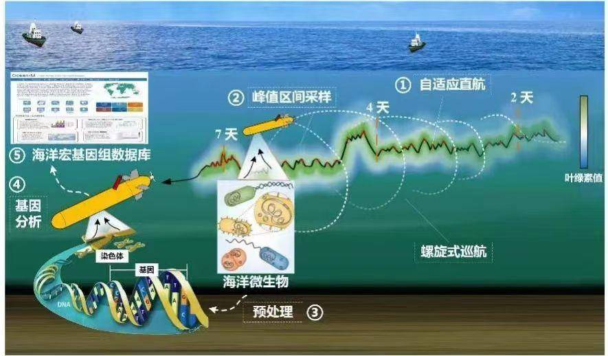 首台国产“深海微生物原位采样自主水下航行器”成功研制