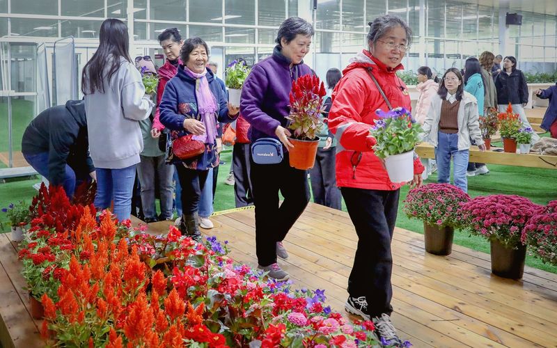 双向奔赴，千名北京市民获赠长安街沿线国庆花坛花卉