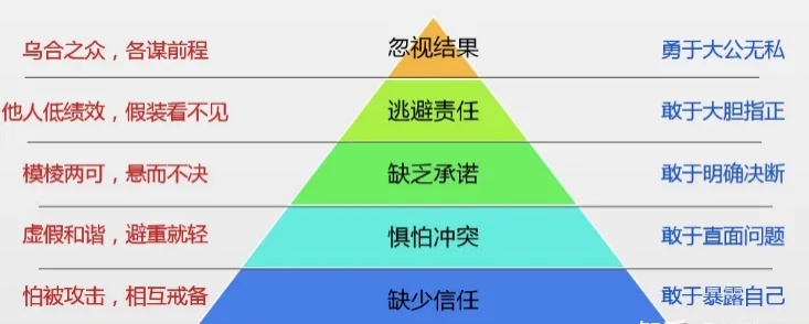 如何提升团队协作力？职场新人速看→