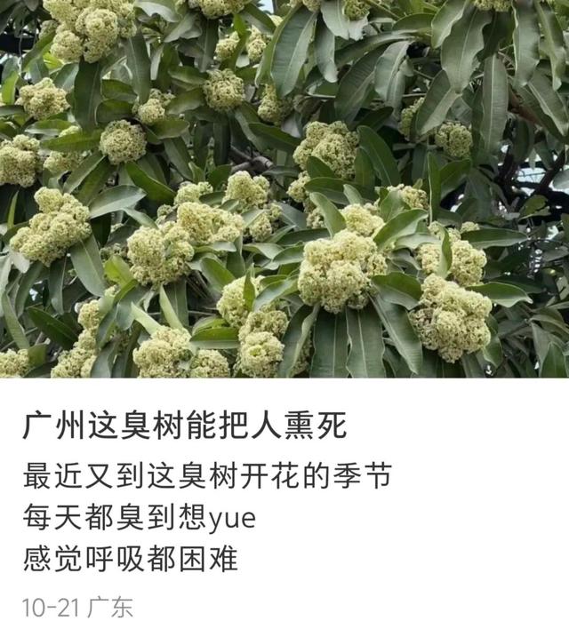 娱乐 第125页