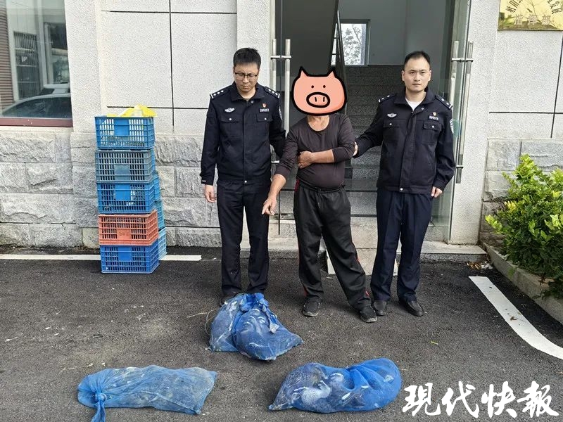 男子用20天挖了个大水塘，竟为了捕捞野鸭