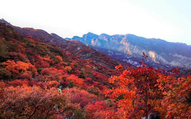 北京房山交警发布坡峰岭出行提示 红叶季交通指南