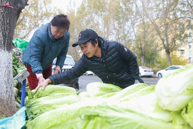 东北人囤菜有多震撼 秋菜堆积如山