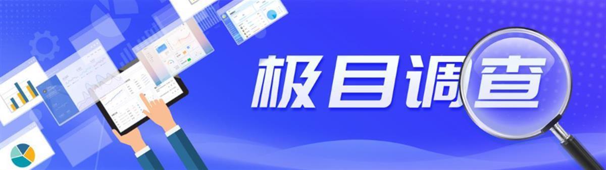 极目调查︱村官“挪用”低保户4.8万元贴息贷款：双方在司法所门口起冲突，村民自称被打骨折