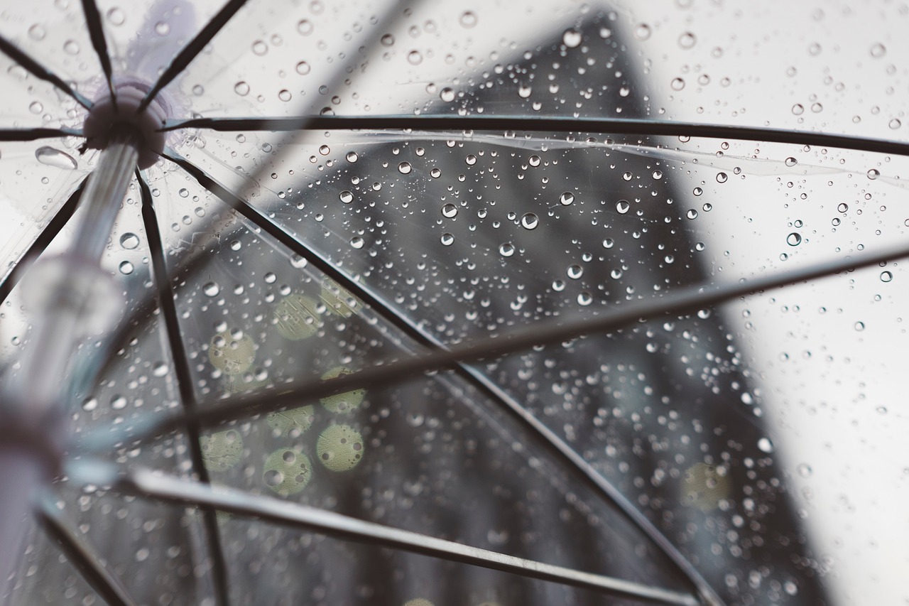 北京：遮阳伞和雨伞没有区别？像素越高照片越清晰？专家来解读 科学解析旅行误区