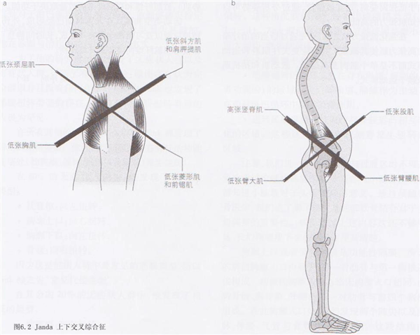 比散步还简单的动作！每天只需10分钟 就能改善身材 还有四大好处