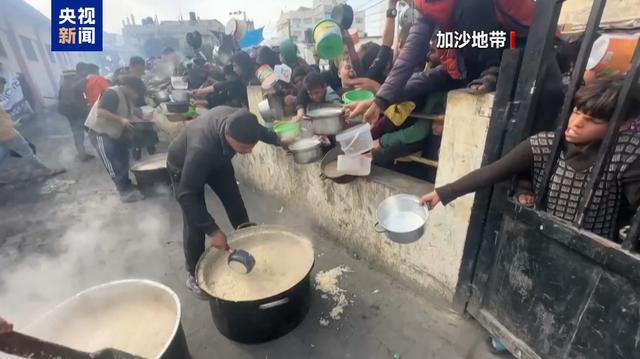 加沙地带食品价格上涨312% 世卫组织呼吁扩大援助