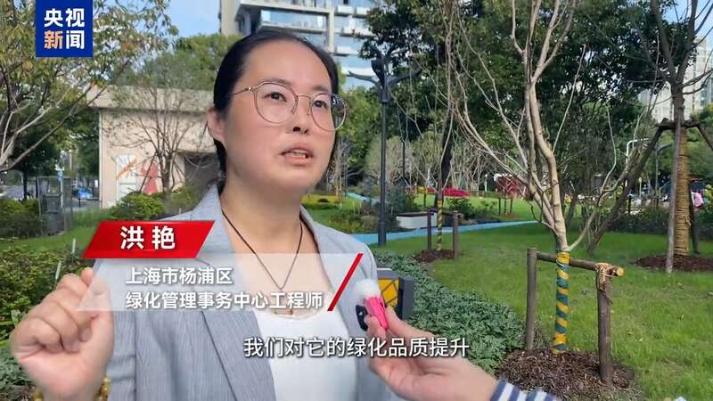 打破围墙“有界”变“无界” 上海部分单位附属绿地打造无界花园