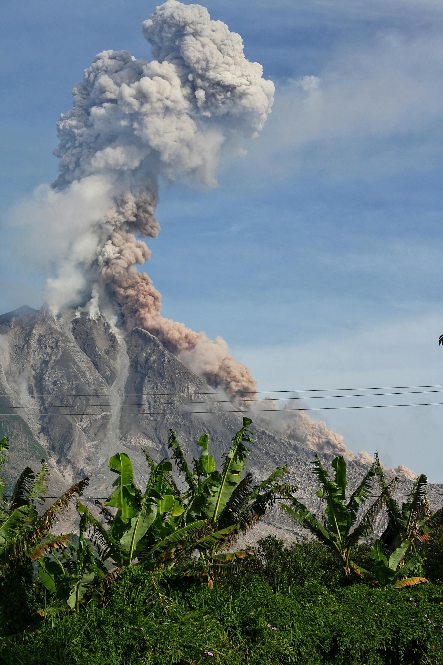 中国驻登巴萨总领馆：高度重视科莫多国际机场因火山喷发而关闭导致部分中国游客滞留状况