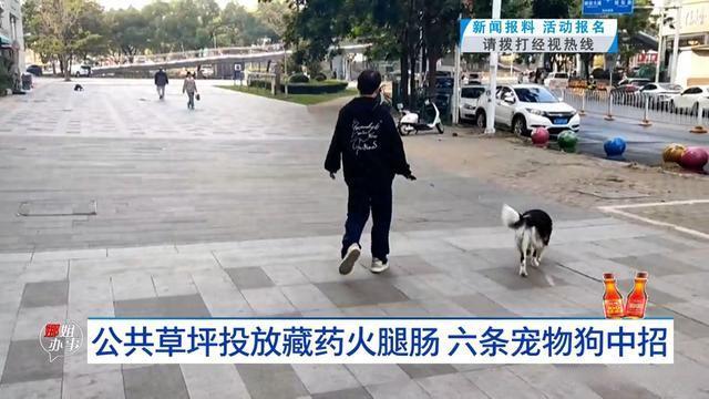 草坪放藏药火腿肠6条狗中招 宠物主人痛心报警